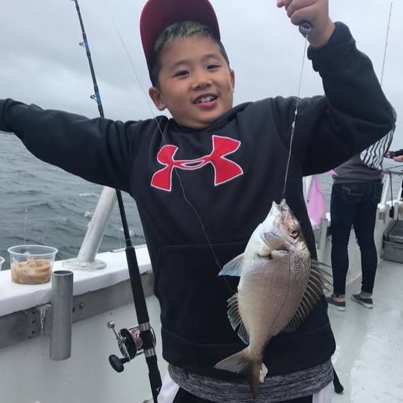 Meet your Posher, Mia - Picture 1 of 1